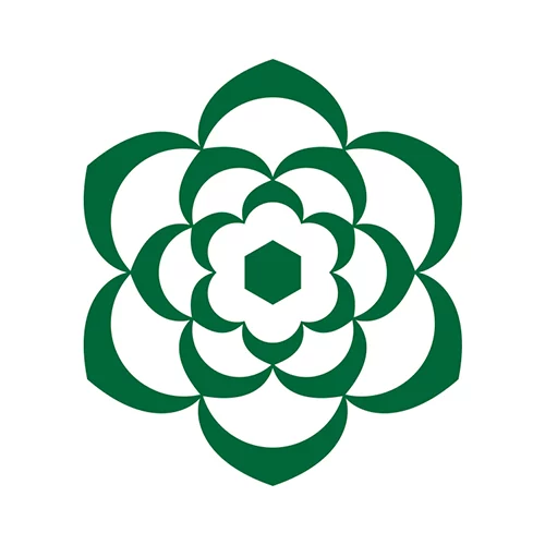 Sierra AI logo